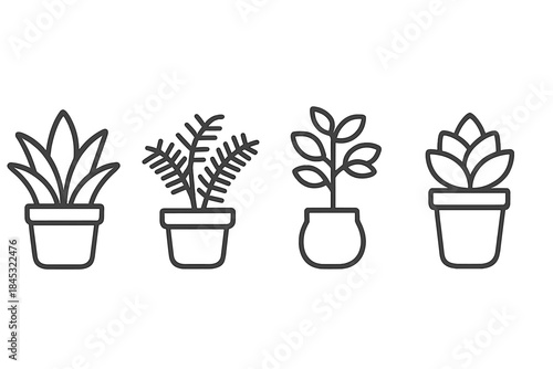 Common decorative houseplants and succulents in flowerpots, outline style
