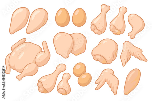 Raw chicken meat cuts set including whole bird, breasts, wings, drumsticks, and eggs