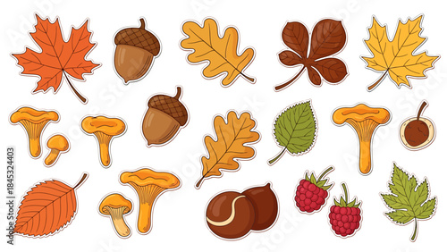 Autumn foliage, mushrooms, acorns, chestnuts, and berries, a vibrant collection of fall elements