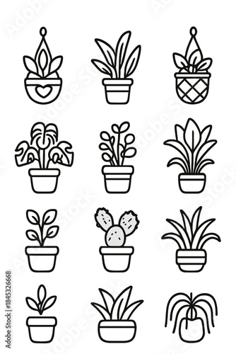 Potted indoor houseplants and succulents set featuring various popular varieties