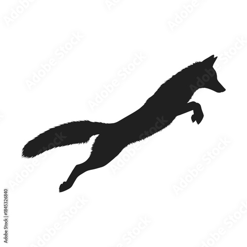 A striking silhouette of a fox in mid air appearing to leap forward