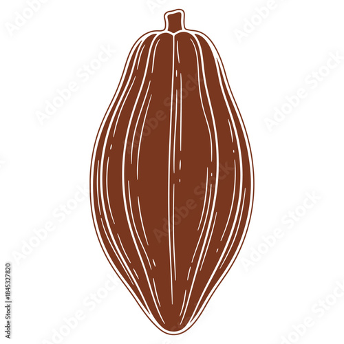 Illustrated cocoa pod vector design isolated on transparent background