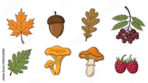 Autumn collection of assorted natural elements including leaves, acorns, mushrooms, and berries, perfect for seasonal designs