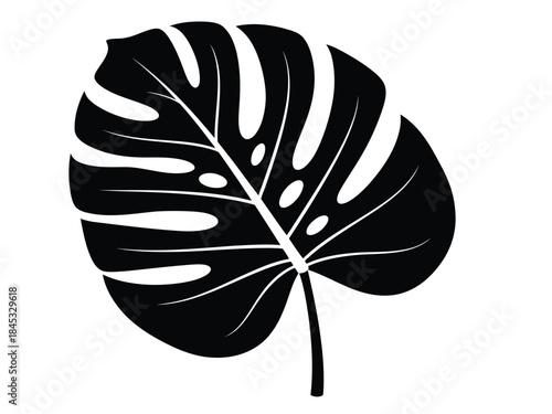 Vector illustration of black silhouette of a monstera leaf for design and decoration purposes easily