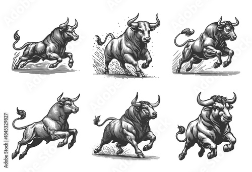 bull in various powerful poses Set collection bundle sketch engraving generative ai vector illustration. Scratch board imitation. Black and white image.