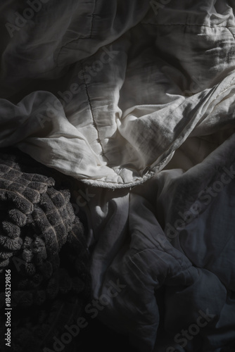Unmade, rumpled bed with tangled white duvet and dark blanket bathed in soft morning sunlight.