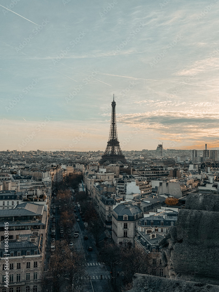 Fototapeta premium eiffel tower in paris