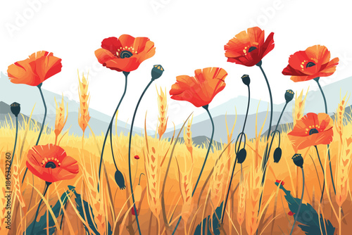 Wheat Field with Poppies Blooming isolated