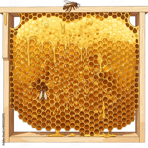 Beehive frame with honey dripping and bees on honeycomb structure  