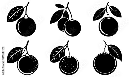 Black and white of lychee fruits with leaves on a transparent background silhouette