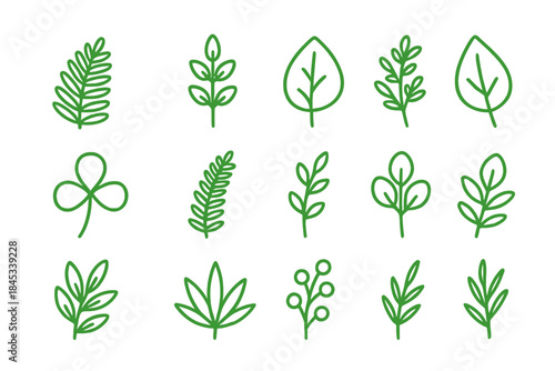 Collection of simple green line art botanical leaf icons and sprigs