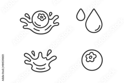 Outline icons set showing blueberry fruit splashing in liquid and water drops