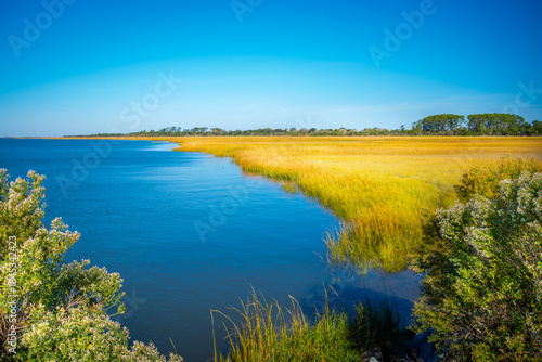 Calm tidal water curves through a coastal marsh, bordered by golden grasses and green shrubs under clear blue skies, showing the quiet, open landscape and natural textures of Georgia’s inland coast.
