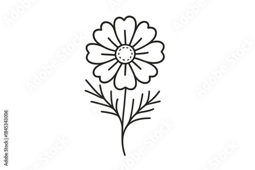 Elegant black outline of a blooming cosmos flower head and slender stem