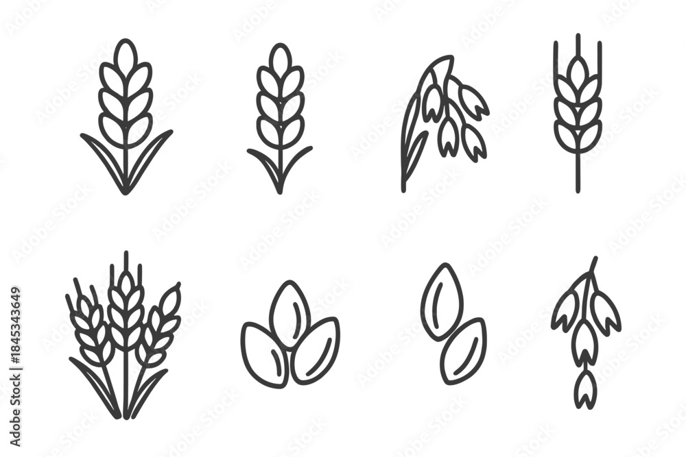 Fototapeta premium Line art icons depicting various cereal grains such as wheat, oat, and seeds