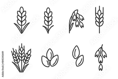 Line art icons depicting various cereal grains such as wheat, oat, and seeds