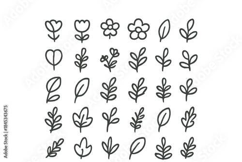 Hand drawn botanical elements set simple doodle flowers and leaves