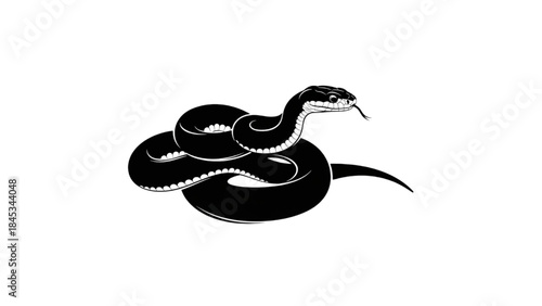 black coiled snake silhouette vector