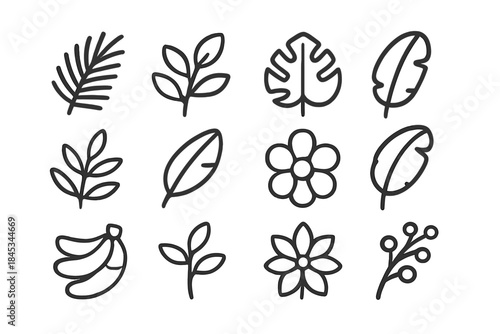 Collection of simple outline icons featuring tropical leaves, flowers, and fruit