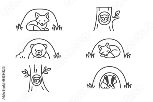 Woodland animals resting in cozy dens and tree hollows