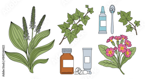 Illustration of lavender and ivy plants with medicine bottles tubes and a pink flowering plant representing natural medicines and herbal remedies.
