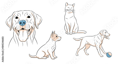 Cheerful illustration of a friendly dog with a smiling face and several playful cats gathered around a ball and toys in a bright studio scene.