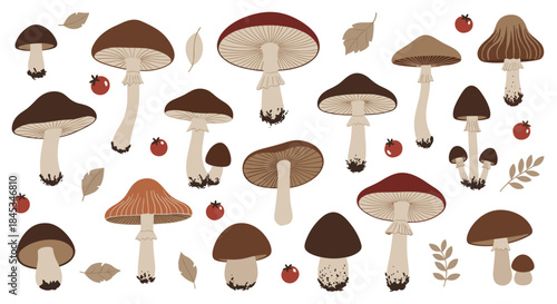 Vibrant woodland scene showing a diverse group of mushrooms with brown red and beige caps and tall pale stems among autumn leaves and small red berries.