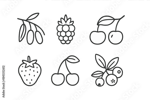 Six outline icons of fresh fruits and berries for digital design