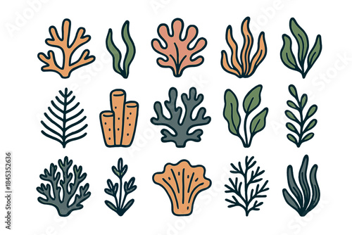 Stylized sea plants and coral icons in muted color palette