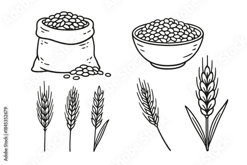 Hand drawn cereal grains in sack and bowl with wheat ears outline set
