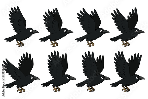 Eight sequential frames of a black crow or raven bird in flight motion