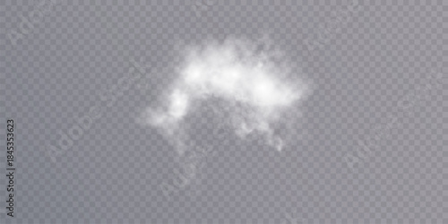 A realistic white smoke effect with soft transparency and smooth dispersion on a transparent background. Designed for atmospheric compositions, weather effects, and steam-related image elements.