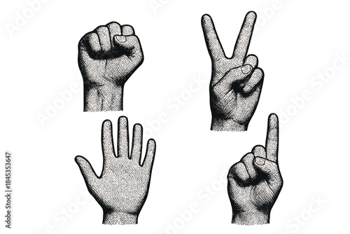 Four hand gestures showing counting and communication symbols in engraved style