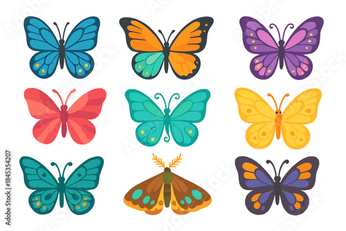 Nine stylized colorful butterflies and one moth insect collection