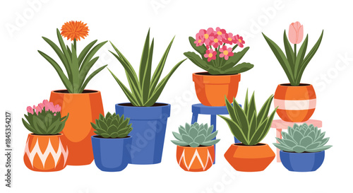 A colorful collection of potted indoor plants arranged on a white background, showcasing a variety of foliage and blooms for a cheerful home decor aesthetic.