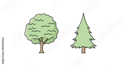 Two stylized trees are depicted, one deciduous with rounded foliage and the other a coniferous evergreen, illustrating botanical diversity in a simple illustration.