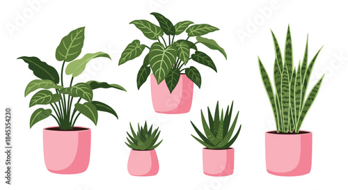 A vibrant collection of potted houseplants in pink ceramic containers, showcasing a variety of leaf shapes and textures for a modern indoor garden aesthetic.