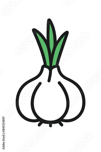 Fresh garlic bulb with vibrant green sprouts emerging from the top