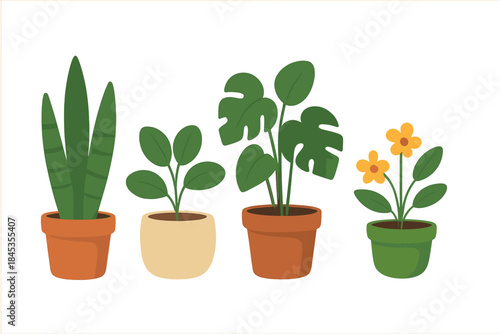 Collection of four different potted houseplants including snake plant and monstera