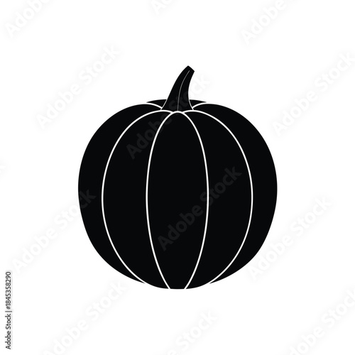 Pumpkin Vector Illustration