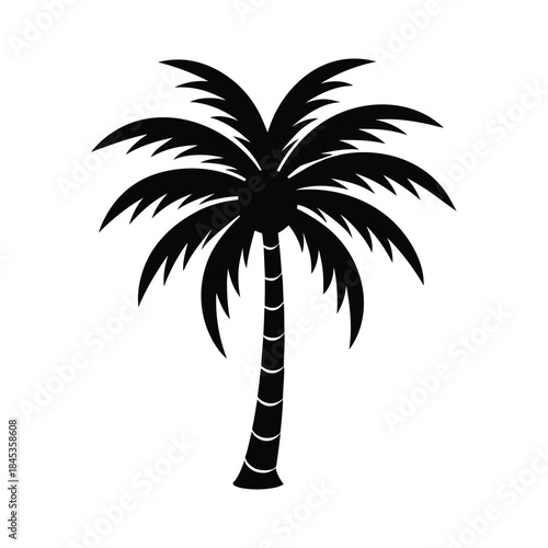 Palm Tree Vector Illustration