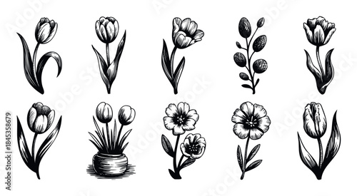 Set of Hand Drawn Botanical Line Art Featuring Tulips and Other Flowers in Various Arrangements for Spring Themed Projects and Decor