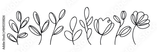 Minimalist line art of various botanical branches and flowers, perfect for naturalistic branding, organic product packaging, and simple naturethemed graphic applications