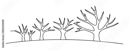 Minimalist line drawing of bare trees in varying sizes standing on a gentle slope, perfect for nature themes and seasonal concepts