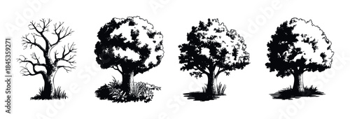Collection of detailed black and white tree silhouettes in various states of foliage for landscape representation and graphic design projects