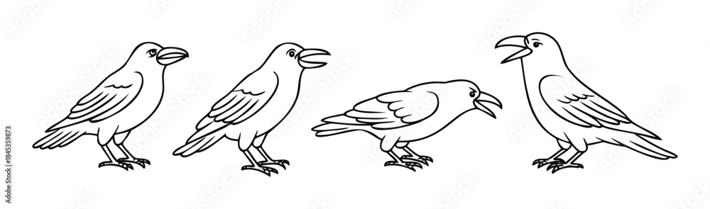 Fototapeta premium Group of four stylized birds in black outline, presented in various poses for use in graphic assets and communication materials.