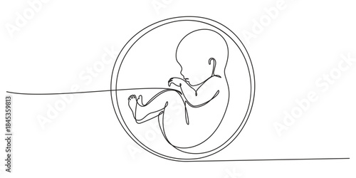 Baby embryo in womb, fetus one art line continuous drawing, Continuous line of fetus in womb.one line drawing of baby fetus in mother's stomach in gestational age.