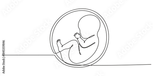 Baby embryo in womb one line drawing. Cute unborn fetus baby on mother womb isolated on white background, Baby embryo in womb in one continuous line drawing. Healthy pregnancy and premature symbol
