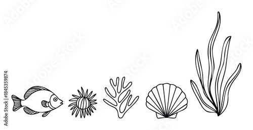 Simple black and white line drawings of a fish, sea star, coral, shell and seaweed for ocean themed designs and projects.