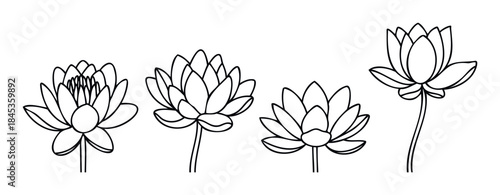 Line drawing set of four distinct lotus flowers in various stages of bloom, perfect for natural wellness or botanical media applications